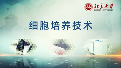c3fd29a0710b4156a9a080ef2f326df5.png